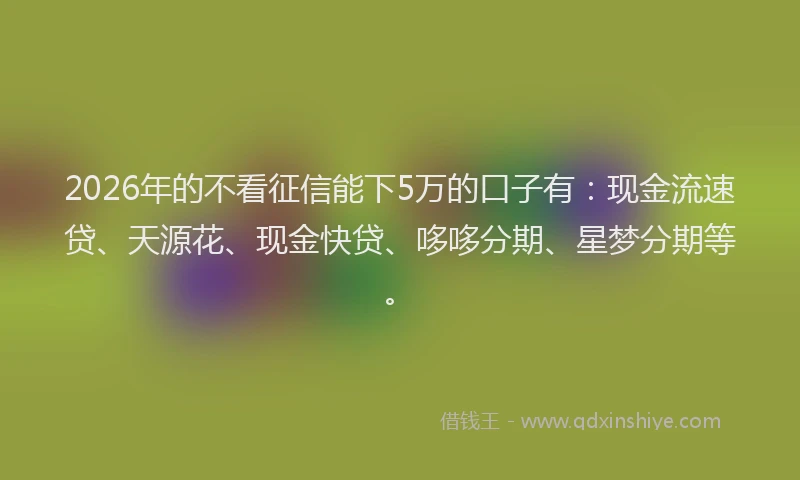 2026年的不看征信能下5万的口子有：现金流速贷、天源花、现金快贷、哆哆分期、星梦分期等。