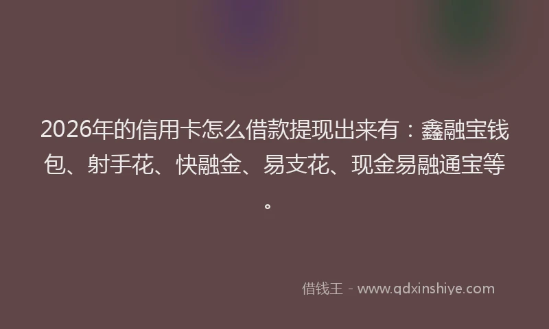 2026年的信用卡怎么借款提现出来有:鑫融宝钱包、射手花、快融金、易支花、现金易融通宝等。