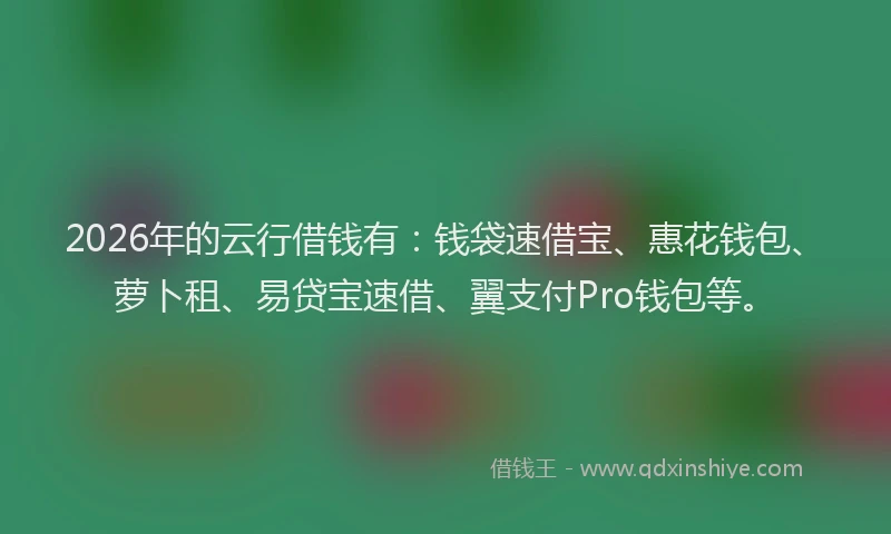 2026年的云行借钱有：钱袋速借宝、惠花钱包、萝卜租、易贷宝速借、翼支付Pro钱包等。