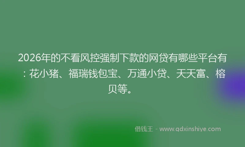 2026年的不看风控强制下款的网贷有哪些平台有：花小猪、福瑞钱包宝、万通小贷、天天富、榕贝等。