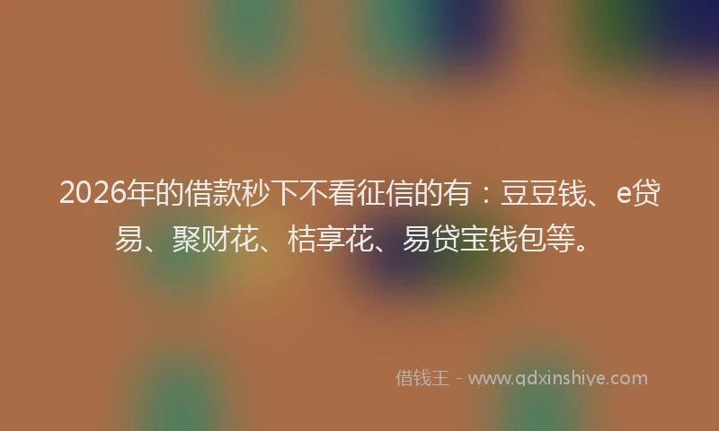 2026年的借款秒下不看征信的有:豆豆钱、e贷易、聚财花、桔享花、易贷宝钱包等。