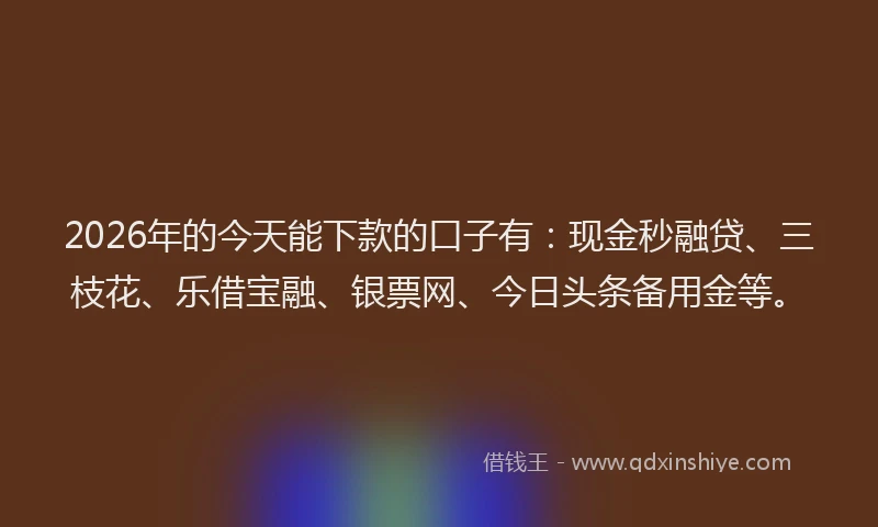 2026年的今天能下款的口子有:现金秒融贷、三枝花、乐借宝融、银票网、今日头条备用金等。