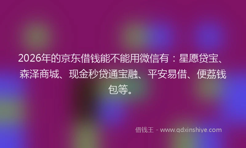 2026年的京东借钱能不能用微信有：星愿贷宝、森泽商城、现金秒贷通宝融、平安易借、便荔钱包等。