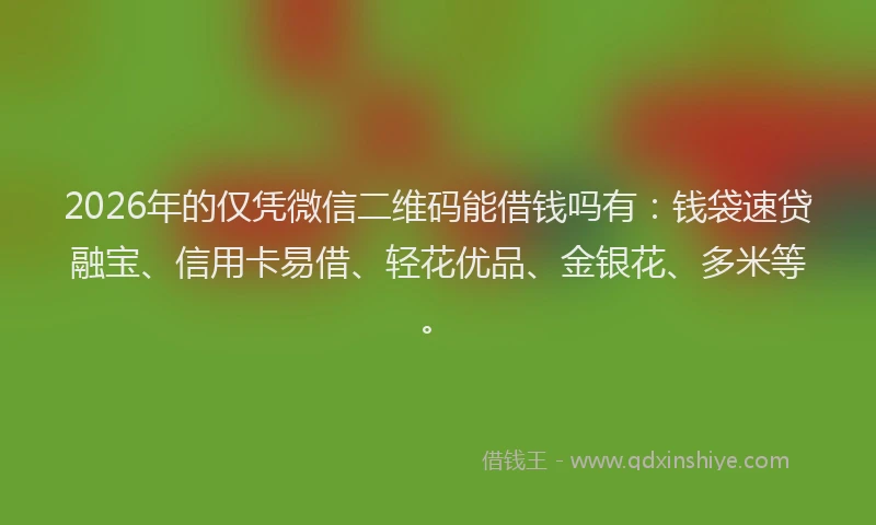 2026年的仅凭微信二维码能借钱吗有:钱袋速贷融宝、信用卡易借、轻花优品、金银花、多米等。
