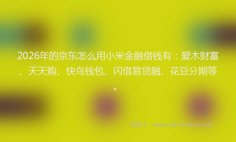 2026年的京东怎么用小米金融借钱有:爱木财富、天天购、快鸟钱包、闪借易贷融、花豆分期等。