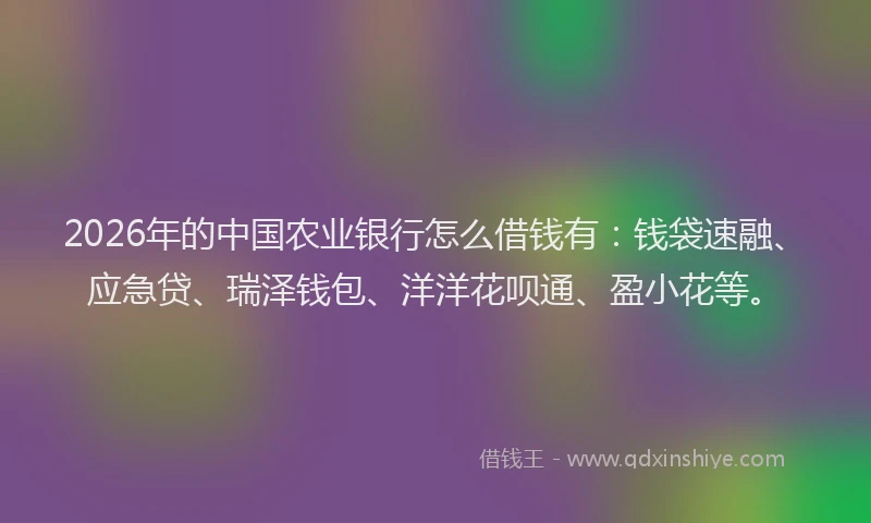 2026年的中国农业银行怎么借钱有:钱袋速融、应急贷、瑞泽钱包、洋洋花呗通、盈小花等。