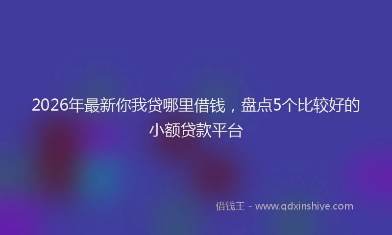 2026年最新你我贷哪里借钱，盘点5个比较好的小额贷款平台