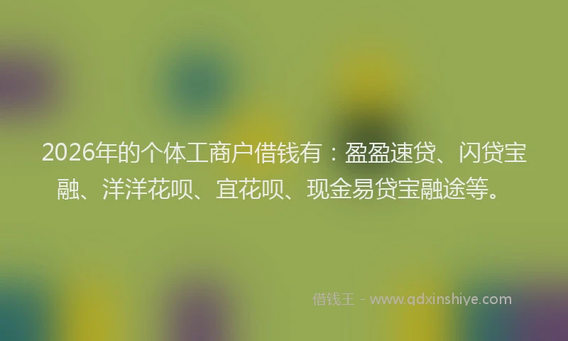 2026年的个体工商户借钱有：盈盈速贷、闪贷宝融、洋洋花呗、宜花呗、现金易贷宝融途等。