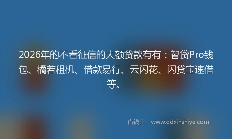 2026年的不看征信的大额贷款有有:智贷Pro钱包、橘若租机、借款易行、云闪花、闪贷宝速借等。