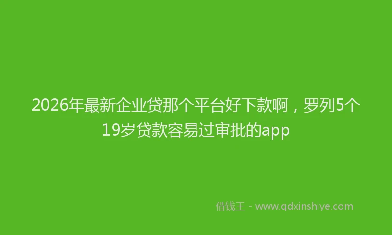 2026年最新企业贷那个平台好下款啊,罗列5个19岁贷款容易过审批的app