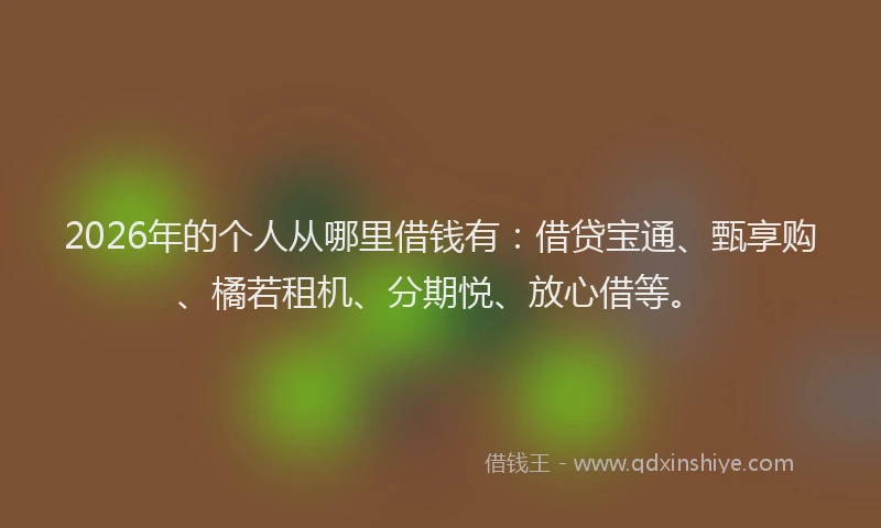 2026年的个人从哪里借钱有：借贷宝通、甄享购、橘若租机、分期悦、放心借等。