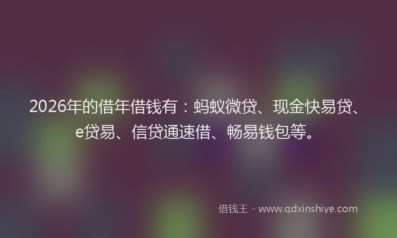 2026年的借年借钱有：蚂蚁微贷、现金快易贷、e贷易、信贷通速借、畅易钱包等。