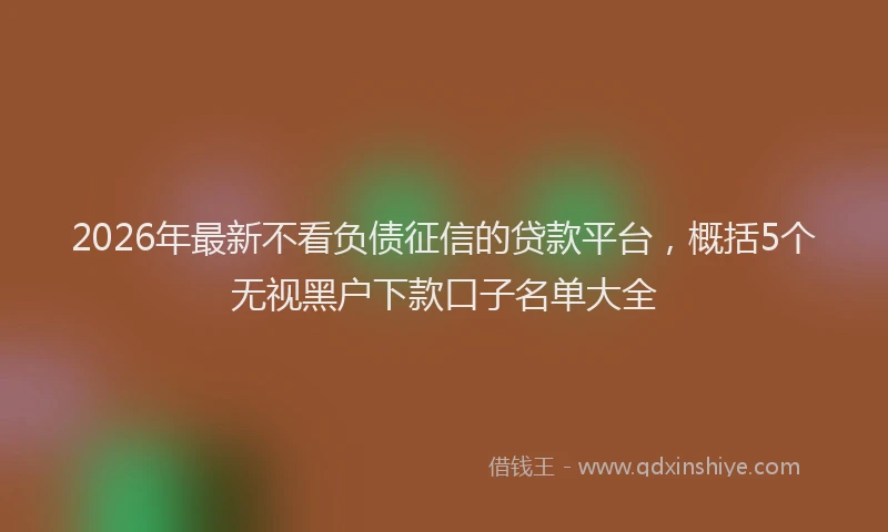 2026年最新不看负债征信的贷款平台，概括5个无视黑户下款口子名单大全