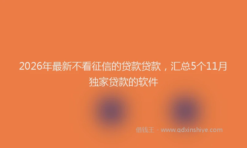 2026年最新不看征信的贷款贷款，汇总5个11月独家贷款的软件