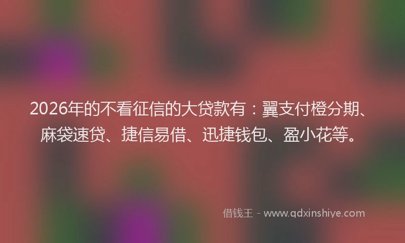 2026年的不看征信的大贷款有：翼支付橙分期、麻袋速贷、捷信易借、迅捷钱包、盈小花等。