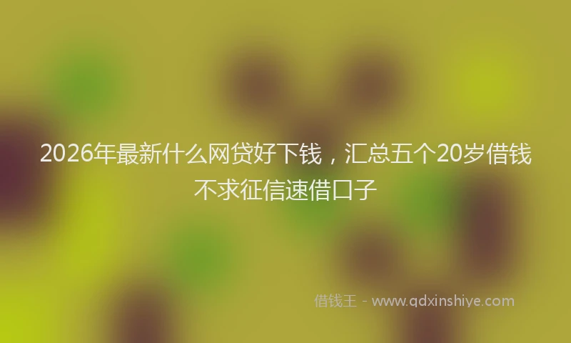 2026年最新什么网贷好下钱，汇总五个20岁借钱不求征信速借口子