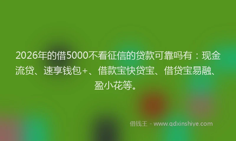 2026年的借5000不看征信的贷款可靠吗有：现金流贷、速享钱包+、借款宝快贷宝、借贷宝易融、盈小花等。