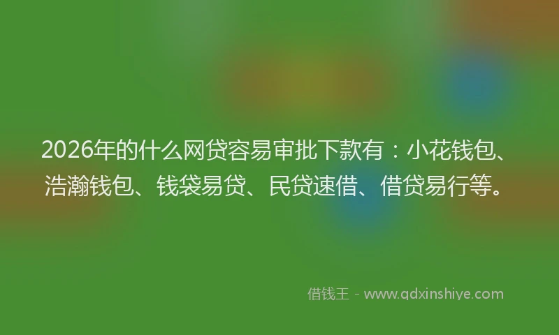 2026年的什么网贷容易审批下款有:小花钱包、浩瀚钱包、钱袋易贷、民贷速借、借贷易行等。