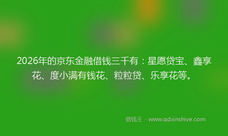 2026年的京东金融借钱三千有：星愿贷宝、鑫享花、度小满有钱花、粒粒贷、乐享花等。