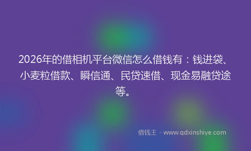 2026年的借相机平台微信怎么借钱有:钱进袋、小麦粒借款、瞬信通、民贷速借、现金易融贷途等。