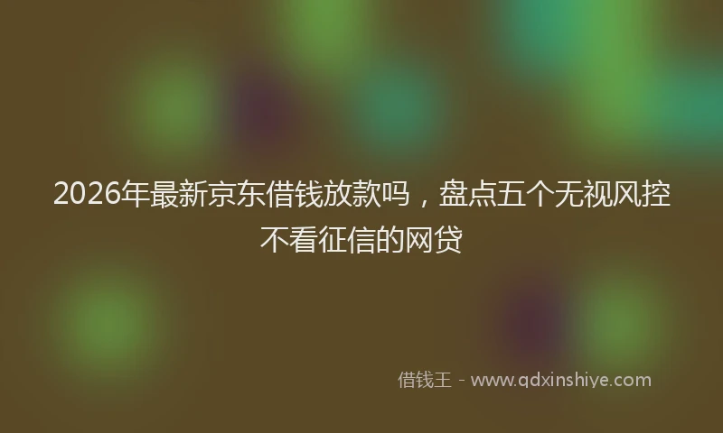 2026年最新京东借钱放款吗，盘点五个无视风控不看征信的网贷