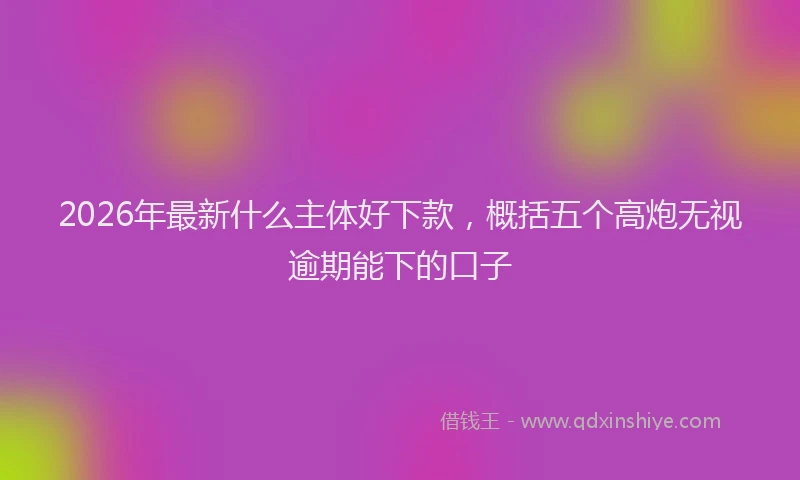 2026年最新什么主体好下款,概括五个高炮无视逾期能下的口子