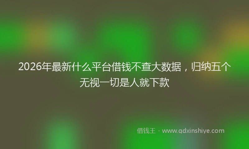 2026年最新什么平台借钱不查大数据，归纳五个无视一切是人就下款