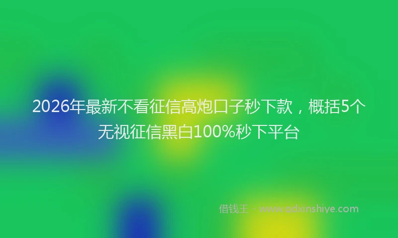 2026年最新不看征信高炮口子秒下款，概括5个无视征信黑白100%秒下平台
