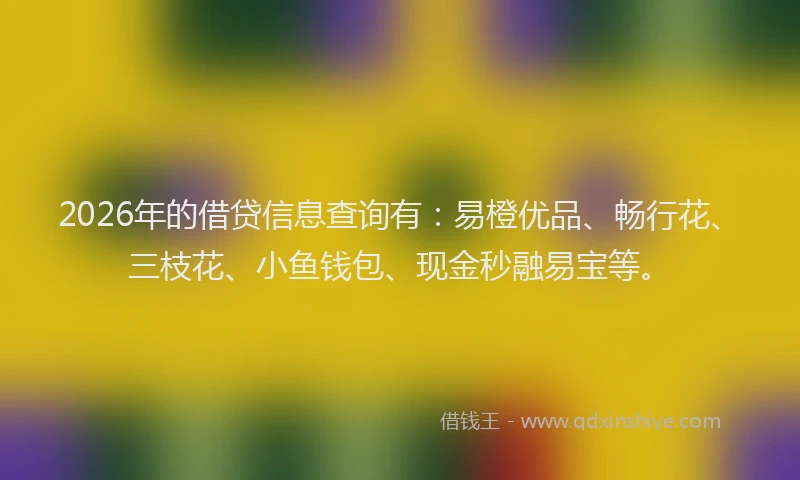 2026年的借贷信息查询有：易橙优品、畅行花、三枝花、小鱼钱包、现金秒融易宝等。