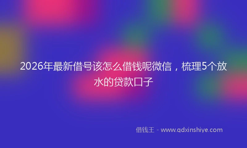 2026年最新借号该怎么借钱呢微信，梳理5个放水的贷款口子