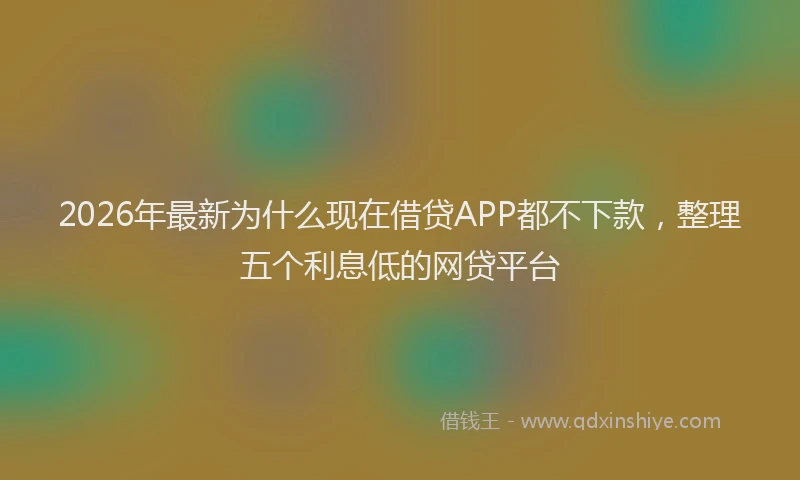 2026年最新为什么现在借贷APP都不下款,整理五个利息低的网贷平台