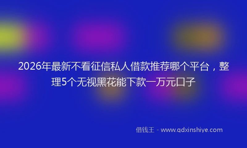 2026年最新不看征信私人借款推荐哪个平台，整理5个无视黑花能下款一万元口子