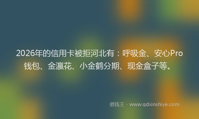2026年的信用卡被拒河北有:呼吸金、安心Pro钱包、金瀛花、小金鹤分期、现金盒子等。