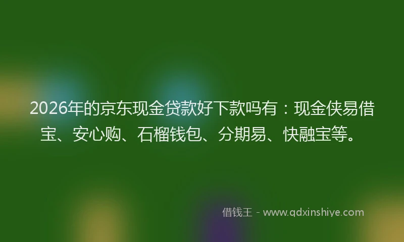 2026年的京东现金贷款好下款吗有:现金侠易借宝、安心购、石榴钱包、分期易、快融宝等。