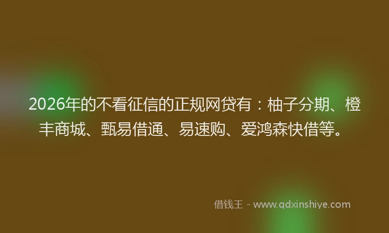 2026年的不看征信的正规网贷有:柚子分期、橙丰商城、甄易借通、易速购、爱鸿森快借等。