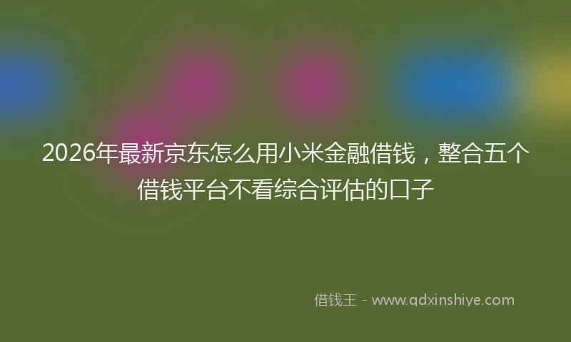 2026年最新京东怎么用小米金融借钱,整合五个借钱平台不看综合评估的口子