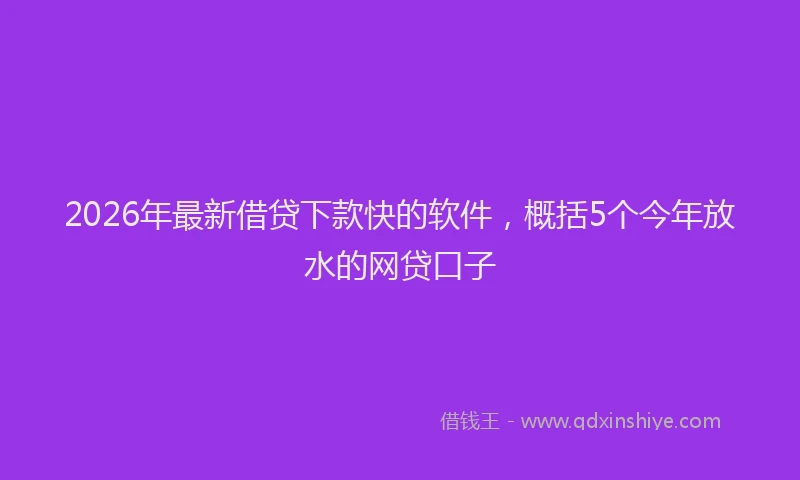 2026年最新借贷下款快的软件,概括5个今年放水的网贷口子