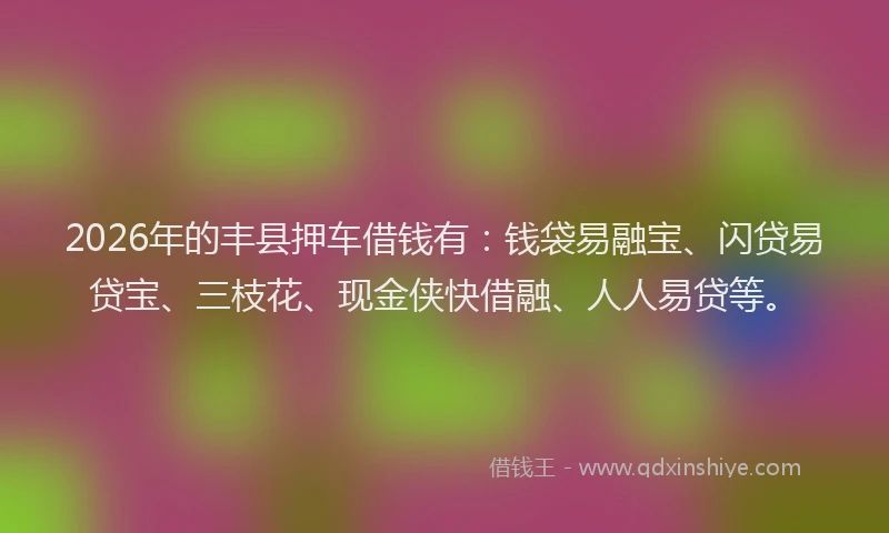 2026年的丰县押车借钱有：钱袋易融宝、闪贷易贷宝、三枝花、现金侠快借融、人人易贷等。