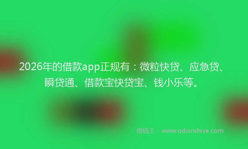 2026年的借款app正规有：微粒快贷、应急贷、瞬贷通、借款宝快贷宝、钱小乐等。