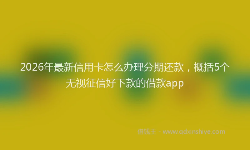 2026年最新信用卡怎么办理分期还款，概括5个无视征信好下款的借款app