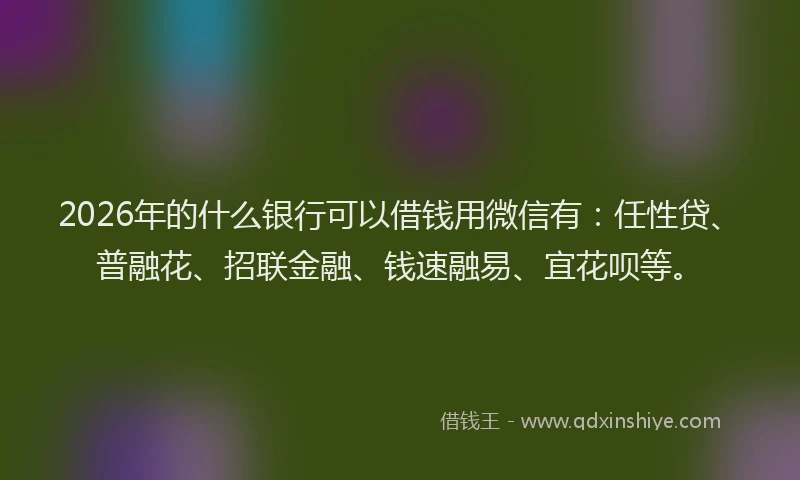 2026年的什么银行可以借钱用微信有:任性贷、普融花、招联金融、钱速融易、宜花呗等。