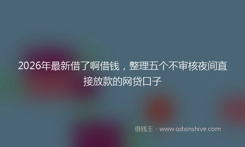 2026年最新借了啊借钱，整理五个不审核夜间直接放款的网贷口子