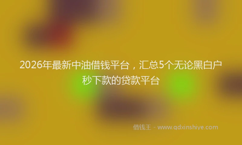 2026年最新中油借钱平台，汇总5个无论黑白户秒下款的贷款平台