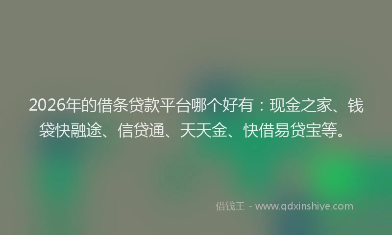 2026年的借条贷款平台哪个好有：现金之家、钱袋快融途、信贷通、天天金、快借易贷宝等。