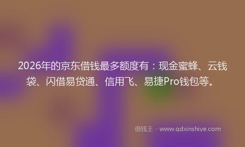 2026年的京东借钱最多额度有：现金蜜蜂、云钱袋、闪借易贷通、信用飞、易捷Pro钱包等。