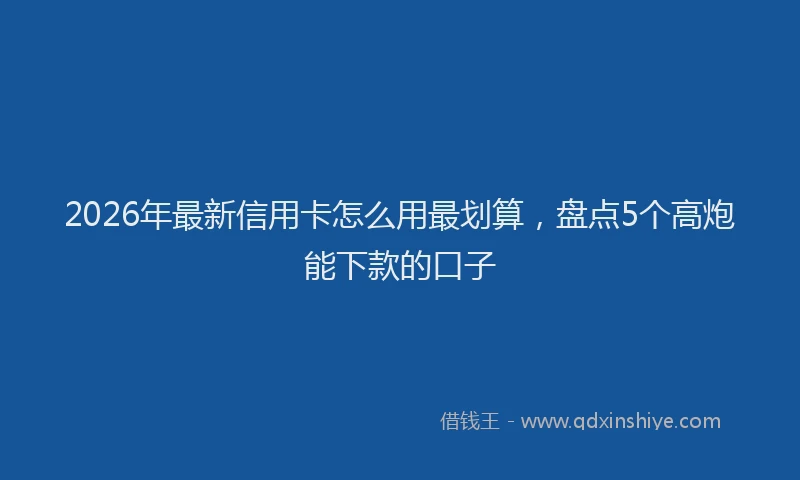 2026年最新信用卡怎么用最划算，盘点5个高炮能下款的口子