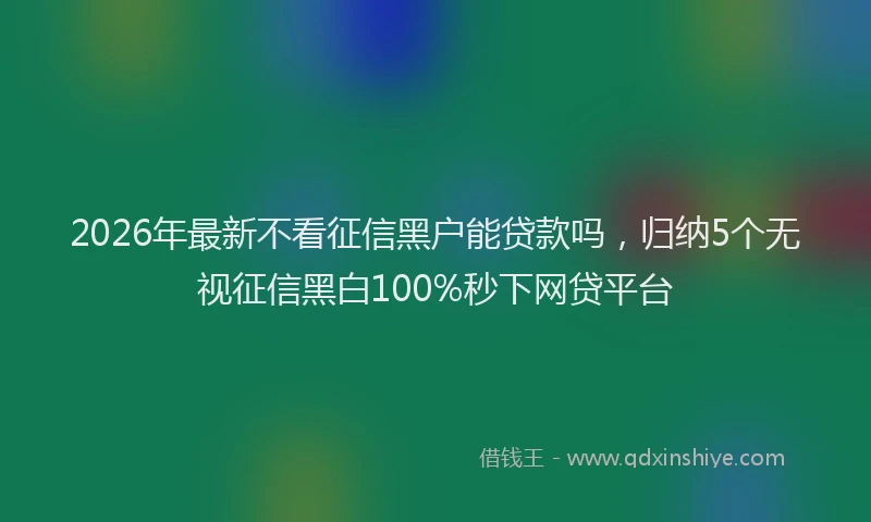 2026年最新不看征信黑户能贷款吗，归纳5个无视征信黑白100%秒下网贷平台