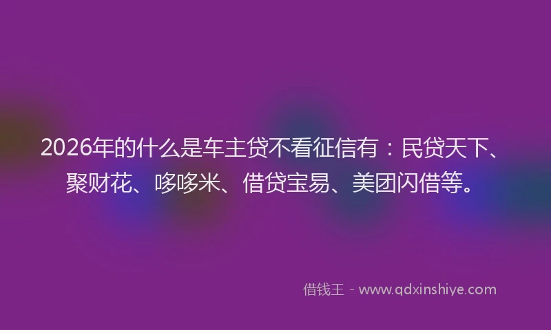 2026年的什么是车主贷不看征信有：民贷天下、聚财花、哆哆米、借贷宝易、美团闪借等。