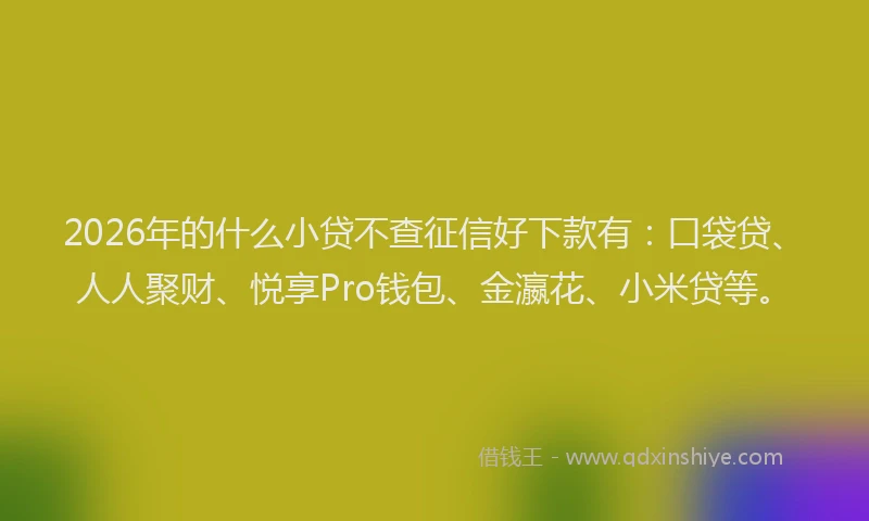 2026年的什么小贷不查征信好下款有：口袋贷、人人聚财、悦享Pro钱包、金瀛花、小米贷等。