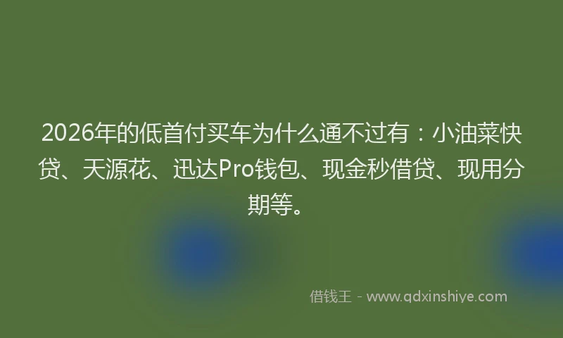 2026年的低首付买车为什么通不过有:小油菜快贷、天源花、迅达Pro钱包、现金秒借贷、现用分期等。